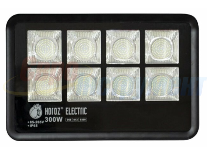 Прожектор светодиодный Horoz LION-300